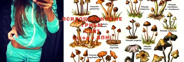 экстази Аркадак
