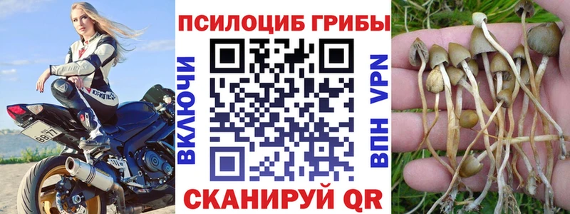 Псилоцибиновые грибы Psilocybine cubensis MEGA ссылки Соль-Илецк